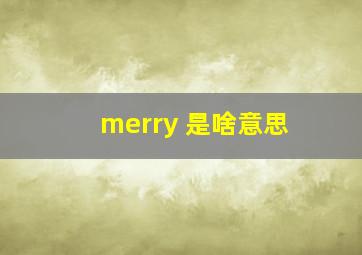 merry 是啥意思